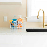 LaCrate® epoxy coated steel tote (large)