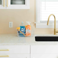 LaCrate® epoxy coated steel tote (large)