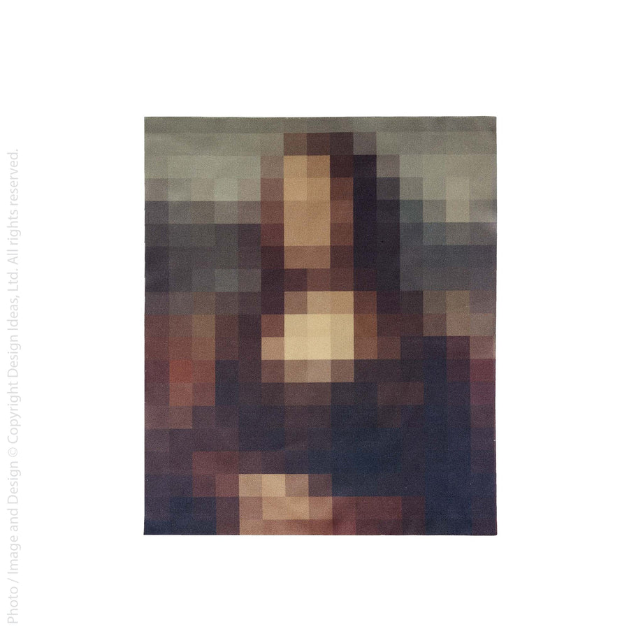 Focus™ cloth (pixelated Mona Lisa)